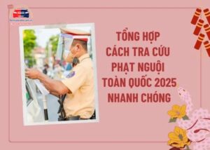 Cách Tra cứu phạt nguội và đăng kiểm toàn quốc (1)