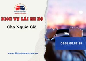 dich vu lai xe ho nguoi gia