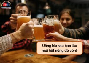 Uống bia sau bao lâu mới hết nồng độ cồn